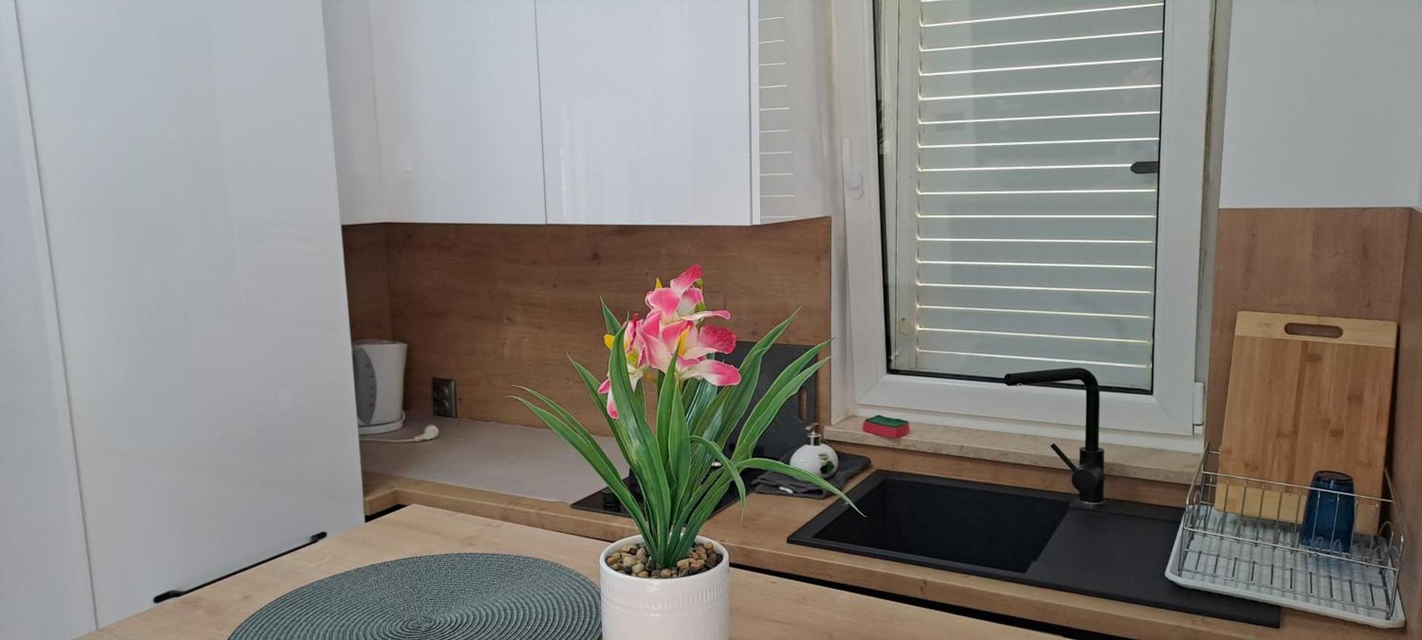 Apartments Eden Šišan Eksteriør billede